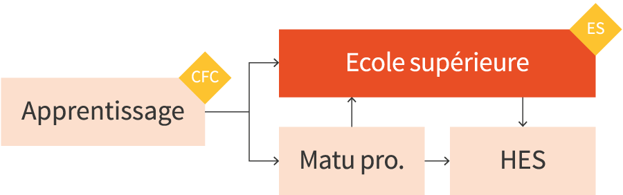 CPNV - schéma de formation ES management des médias