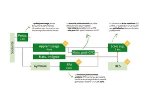 thumbnail of CPNV – schéma de formation