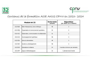 thumbnail of Contenus de la formation Art32 ASE CPNV 2023-2024