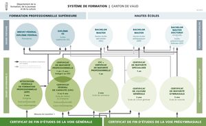 thumbnail of schema_formation_dfjc